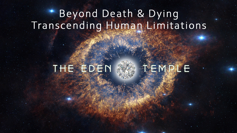 Beyond Death and Dying