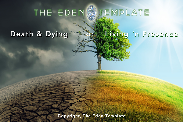 Death & Dying, Living in Presence