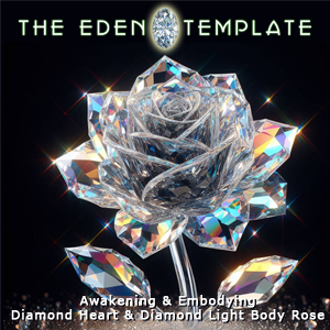 Embodying Diamond DNA