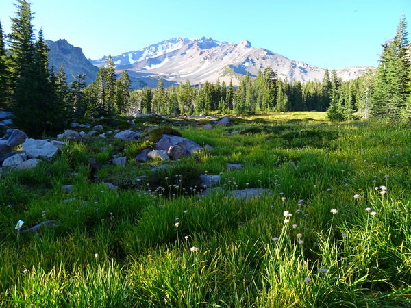 Panther Meadows Spring
