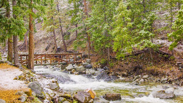 Stewart Hot Springs